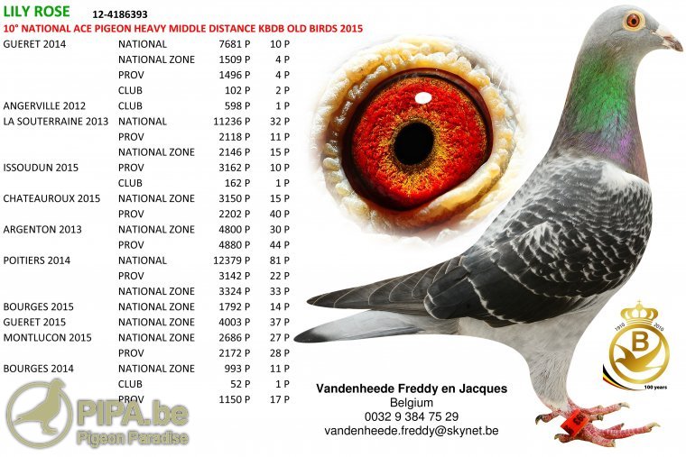 vdh_lily_rose_foto_be12-4186393