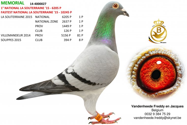 vdh_memorial_foto_be14-4000027