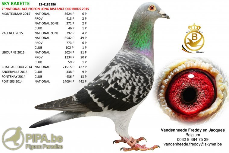 vdh_sky_rakette_foto_be13-4186286