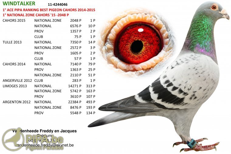 vdh_windtalker_foto_be11-4244046