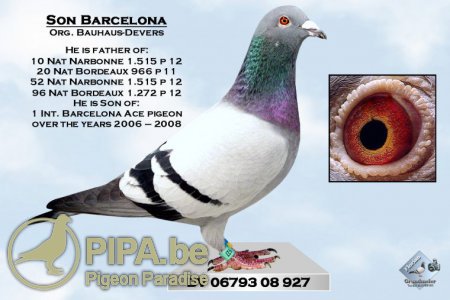 freialdenhofen_vater_barcelona-siegerin_06793_08_927_2