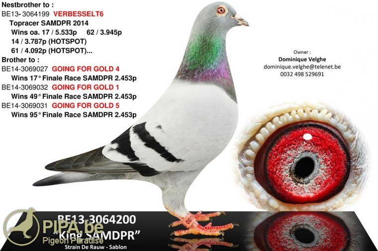 velghe_foto_be13-3064200f