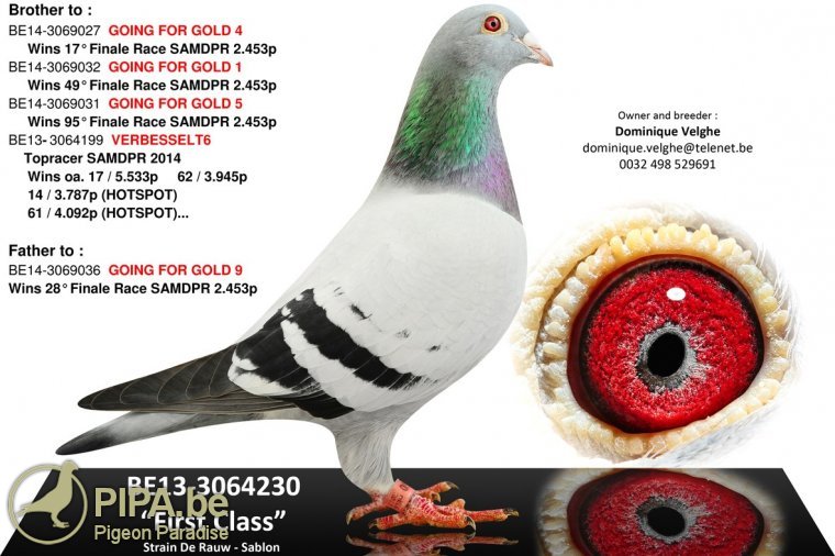 velghe_foto_be13-3064230f