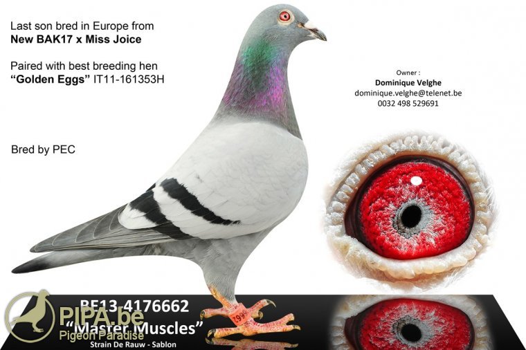 velghe_foto_be13-4176662f