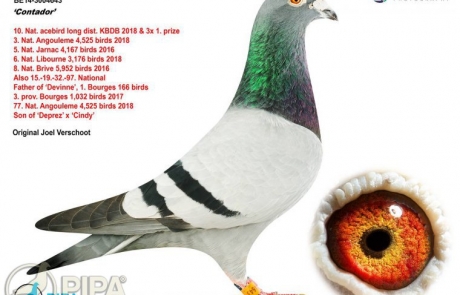 be14-3004643